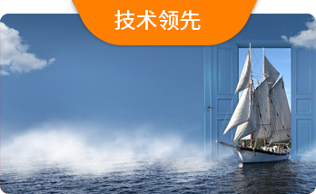 技(jì )術領先